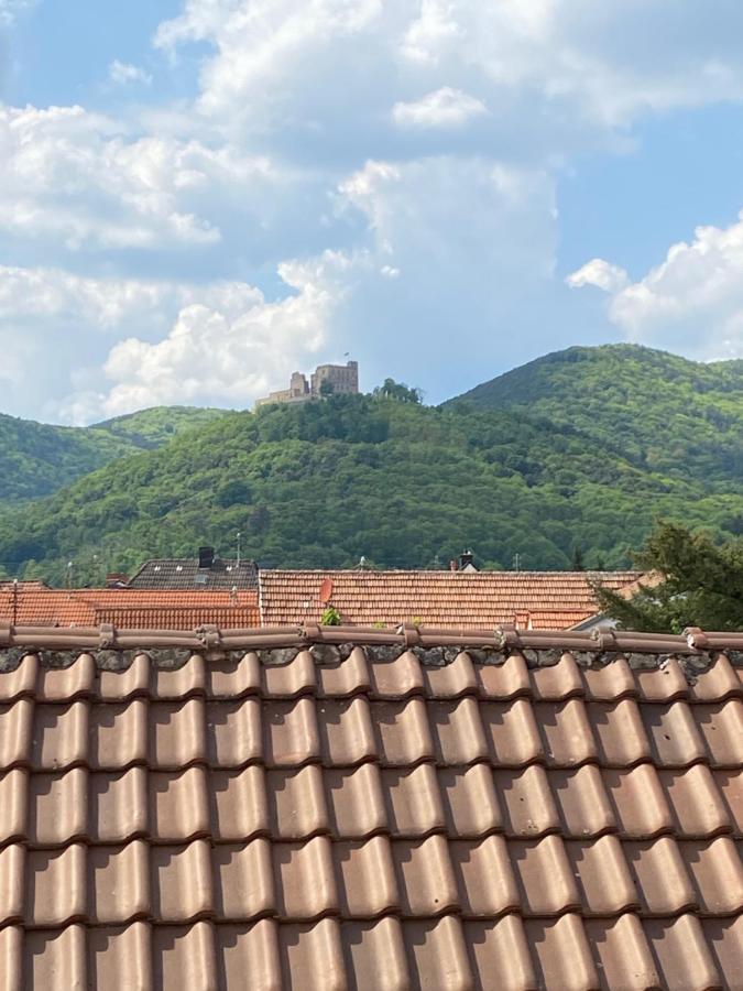 Vintner Suites Neustadt an der Weinstraße 外观 照片